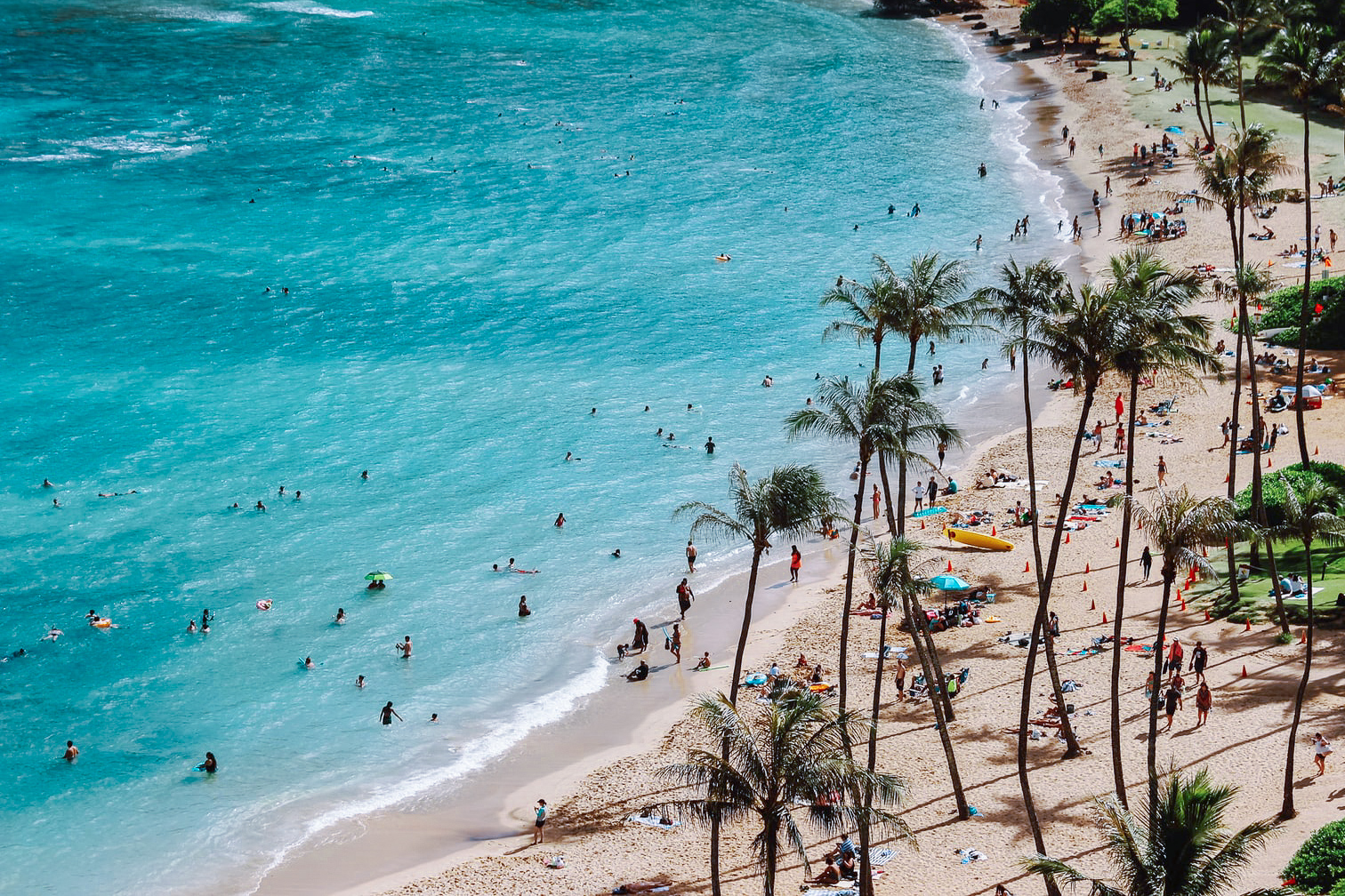 Beach filled with people and palm trees in Hawaii