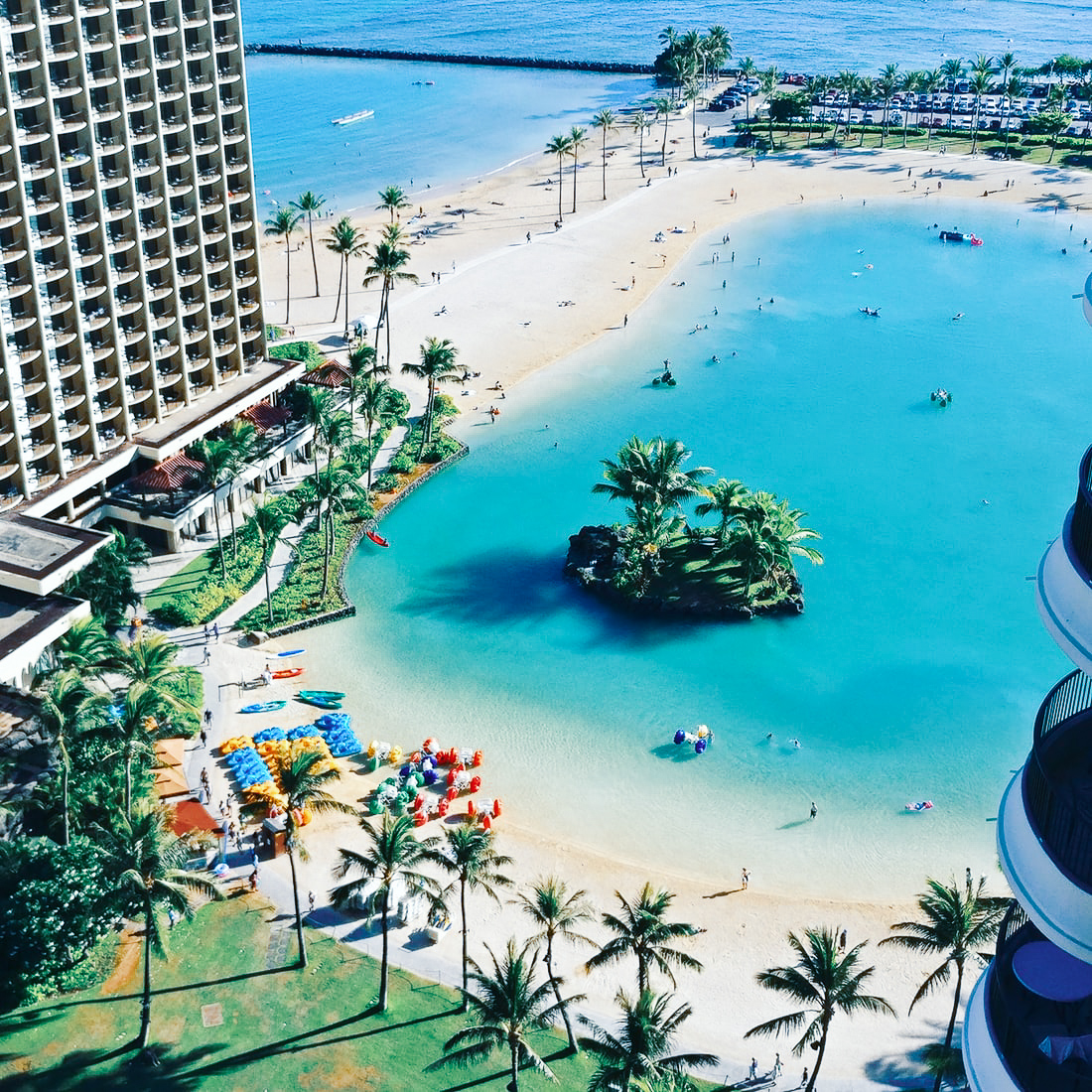 Pool with plam trees next to ocean in Hawaii.