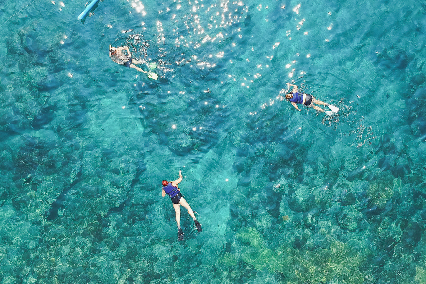 Birds-eye view of people swimming in ocean